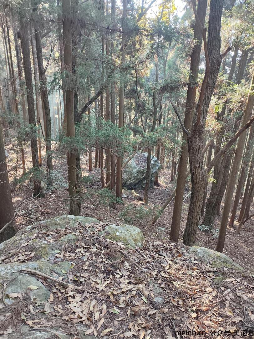 你们在网上撸毛，我在山上撸 -  <br>        
                
                
<div class=